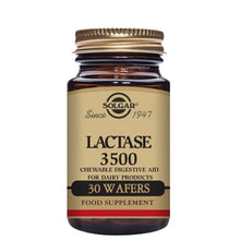 Solgar Lactase 3500 30 Wafers