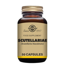 Solgar Scutellariae 50 Veg Capsules