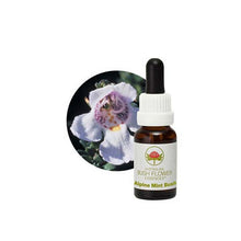 Australian Bush Flower Essences Alpine Mint Bush 15ml