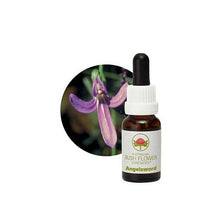 Australian Bush Flower Essences Angelsword 15ml