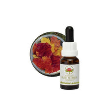 Australian Bush Flower Essences Autumn Leaves 15ml
