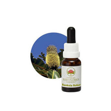 Australian Bush Flower Essences Banksia Robur 15ml