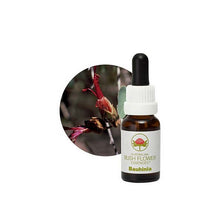 Australian Bush Flower Essences Bauhinia 15ml