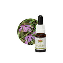 Australian Bush Flower Essences Black-eyed Susan 15ml