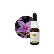 Australian Bush Flower Essences Boronia 15ml