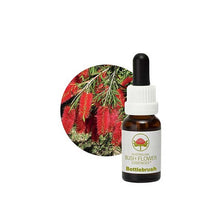 Australian Bush Flower Essences Bottlebrush 15ml