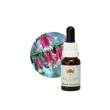 Australian Bush Flower Essences Bush Fuchsia 15ml