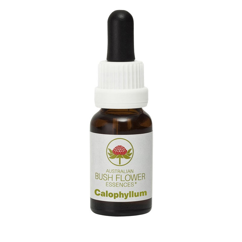Australian Bush Flower Essences Calophyllum 15ml Drops