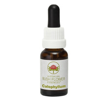 Australian Bush Flower Essences Calophyllum 15ml