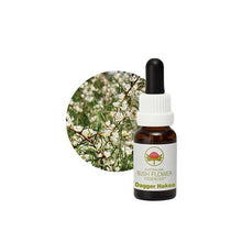 Australian Bush Flower Essences Dagger Hakea 15ml