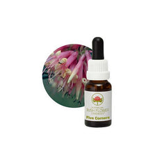 Australian Bush Flower Essences Five Corners 15ml