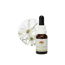 Australian Bush Flower Essences Flannel Flower 15ml