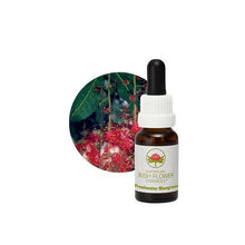 Australian Bush Flower Essences Freshwater Mangrove 15ml