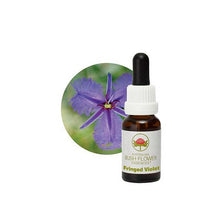 Australian Bush Flower Essences Fringed Violet 15ml