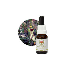 Australian Bush Flower Essences Green Spider Orchid 15ml