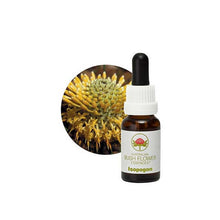 Australian Bush Flower Essences Isopogon 15ml