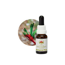Australian Bush Flower Essences Kangaroo Paw 15ml