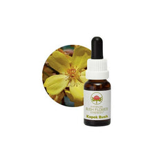 Australian Bush Flower Essences Kapok Bush 15ml