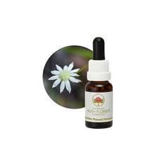 Australian Bush Flower Essences Little Flannel Flower 15ml