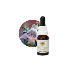 Australian Bush Flower Essences Mint Bush 15ml