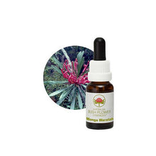 Australian Bush Flower Essences Monga Waratah 15ml