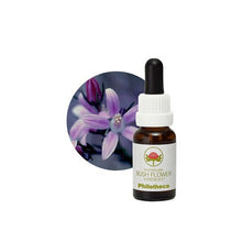 Australian Bush Flower Essences Philotheca 15ml