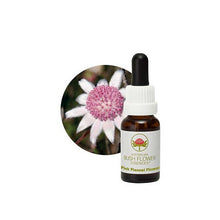 Australian Bush Flower Essences Pink Flannel Flower 15ml