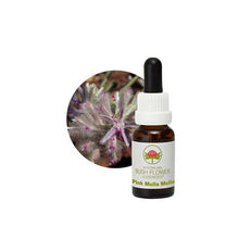Australian Bush Flower Essences Pink Mulla Mulla 15ml