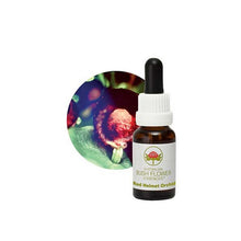 Australian Bush Flower Essences Red Helmet Orchid 15ml