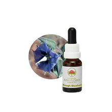 Australian Bush Flower Essences Rough Bluebell 15ml