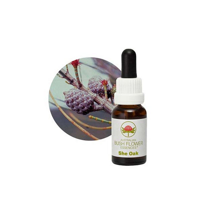 Australian Bush Flower Essences She Oak 15ml