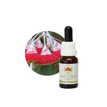 Australian Bush Flower Essences Silver Princess 15ml
