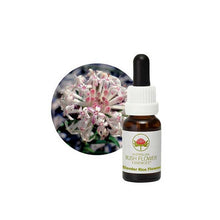 Australian Bush Flower Essences Slender Rice Flower 15ml
