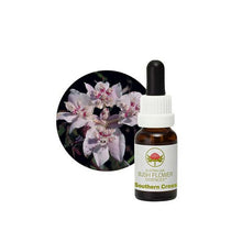 Australian Bush Flower Essences Woman Essence 30ml Drops