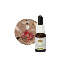 Australian Bush Flower Essences Sundew 15ml