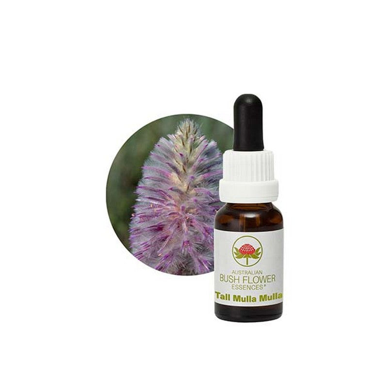 Australian Bush Flower Essences Tall Mulla Mulla 15ml