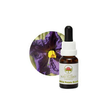 Australian Bush Flower Essences Wild Potato Bush 15ml