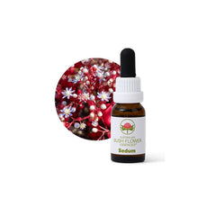 Australian Bush Flower Essences Sedum 15ml