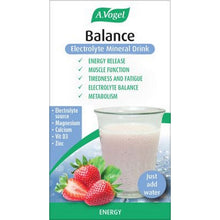 A.Vogel Balance Mineral Drink 21 X 5.5g