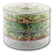 Biosnacky Sprouting Seed Germinator Jar