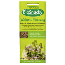 Biosnacky Wellness Mix Seeds 40g