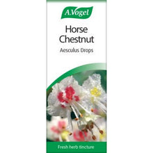 A.Vogel Horse Chestnut - Aesculus 50ml