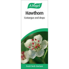 A.Vogel Hawthorn Crataegus 50ml