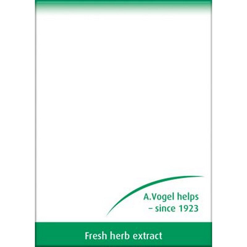 A.Vogel Ginkgo Biloba Tablets 120 Tablets