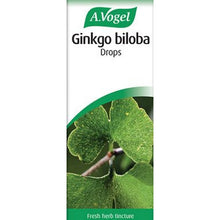 A.Vogel Ginkgo Biloba