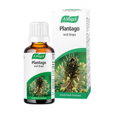 A.Vogel Plantago Lanceolata 50ml