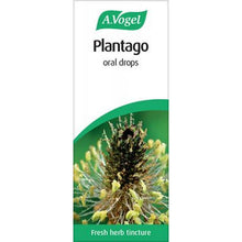 A.Vogel Plantago Lanceolata 50ml
