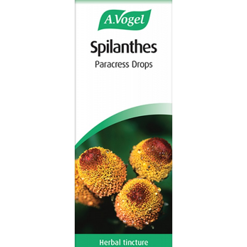 A.Vogel Spilanthes 50ml