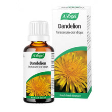 A.Vogel Dandelion 50ml
