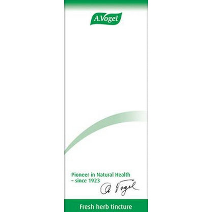 A.Vogel Ginsavena 50ml